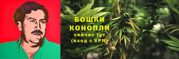 прущие крисы Армянск