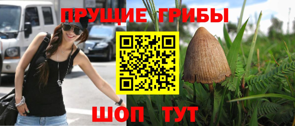Псилоцибиновые грибы мицелий Нурлат