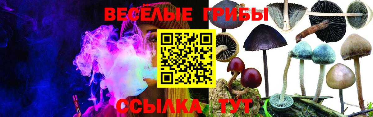 Псилоцибиновые грибы Magic Shrooms  Вход с VPN  Нурлат 